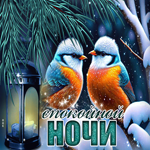 Уникальная и стильная гиф-открытка с птичками Спокойной ночи