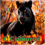 Уютная и гармоничная осенняя гифка С субботой