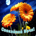 Уютная и оригинальная открытка с цветами Спокойной ночи