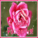 Вдохновенная гиф-открытка с розой С днем Рождения