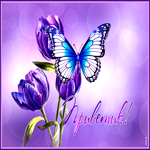 Вдохновляющая гиф-открытка с бабочкой Приветик