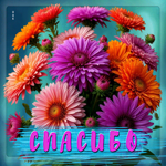 Вдохновляющая гифка Спасибо