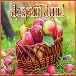 Вдохновляющая и креативная открытка с яблочками Добрый день