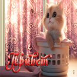 Великолепная гиф-открытка с котенком Привет