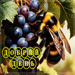 Великолепная гифка Добрый день