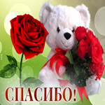Postcard великолепная открытка с медведем и розами спасибо