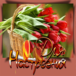 Открытка великолепная открытка с тюльпанами для настроения