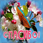 Великолепная открытка спасибо с бабочкой
