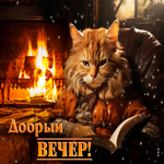 Веселая и привлекательная гиф-открытка с котом Добрый вечер
