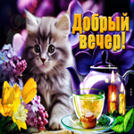 Весенняя и радостная открытка с котенком Добрый вечер