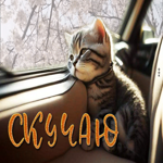Весенняя и свежая гиф-открытка с котиком Скучаю