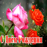 Видео открытка с розами для девушки