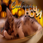Виртуальная открытка с милым котиком Спокойной ночи