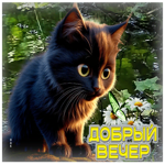 Волшебная летняя гиф-открытка Добрый вечер