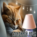 Волшебная открытка с котиком Спокойной ночи