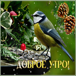 Picture волшебная открытка с птичкой доброе утро
