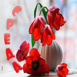 Восхитительная гиф-открытка с тюльпанами Среда