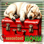 Восхитительная гифка Спокойной ночи