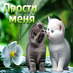 Восхитительная открытка с двумя котятами Прости меня