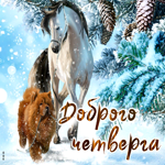 Picture восхитительная открытка с лошадью и собакой доброго четверга