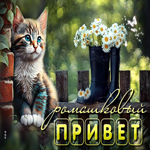 Впечатляющая открытка с котиком Ромашковый привет