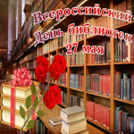 Всероссийский день библиотек - 27 мая