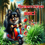 Харизматичная летняя гиф-открытка Приветствую вас!