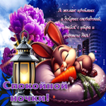 Я желаю цветных сновидений, улыбок с утра и удачного дня