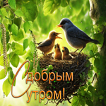 Яркая гиф-открытка с птичками С добрым утром