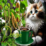 Яркая и красочная гиф-открытка с котиком Доброе утро