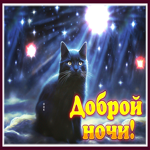 Яркая и милая открытка с черным котом Доброй ночи