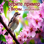 Яркая и оживленная гиф-открытка Берите пример с весны - расцветайте