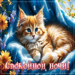 Яркая и счастливая открытка с котенком Спокойной ночи