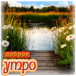 Яркая летняя гиф-открытка Доброе утро