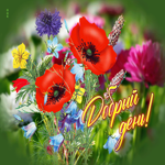 Яркая открытка Добрый день! С полевыми цветами