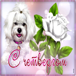 Postcard яркая открытка с четвергом! с собачкой и розой