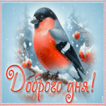 Яркая снежная гиф-открытка Доброго дня