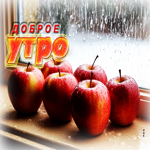 Яркая зимняя гиф-открытка с яблоками Доброе утро