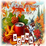 Ясная осенняя гифка Очень скучаю без тебя