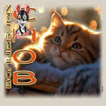 Picture заботливая гиф-открытка с котиком и мышкой волшебных снов