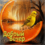 Заботливая осенняя гифка Добрый вечер