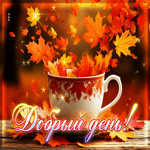 Задорная осенняя гифка Добрый день