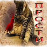 Задорная открытка с кошкой и попугаем Прости