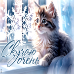 Postcard замечательная зимняя гиф-открытка с котом скучаю очень