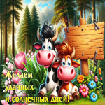 Желаем удачных и солнечных дней