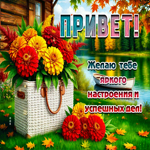 Желаю тебе яркого настроения и успешных дел! Привет