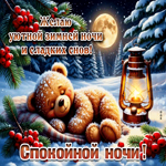 Желаю уютной зимней ночи и сладких снов