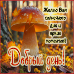 Желаю вам солнечного дня и ярких моментов! Добрый день