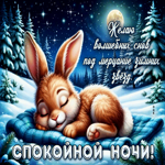 Желаю волшебных снов под мерцание зимних звезд
