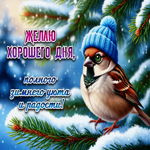 Желаю хорошего дня, полного зимнего уюта и радости